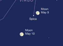 SMP_2025Vic_May09ev-DARKblu.png