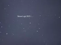 Nova-Lupi-2025-no-label-PD-June-15-LABEL-B3.webp