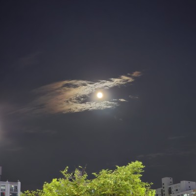 여의주