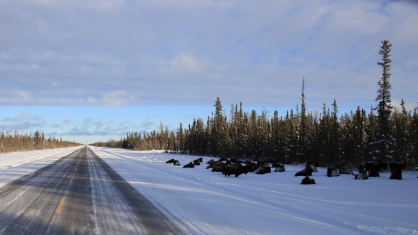 Yellowknife_140125_9532.jpg